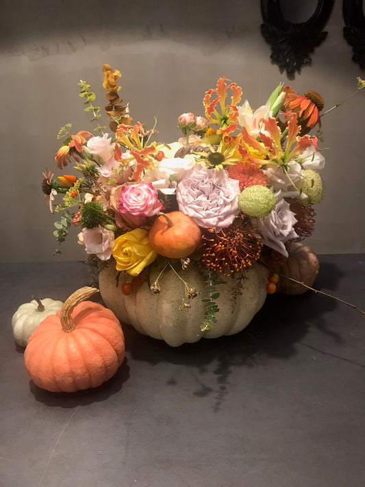 Autumn Radiance Pumpkin